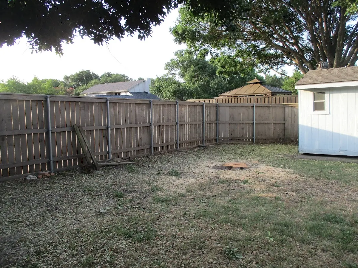 Cleared yard after professional tree removal in Leavittsburg